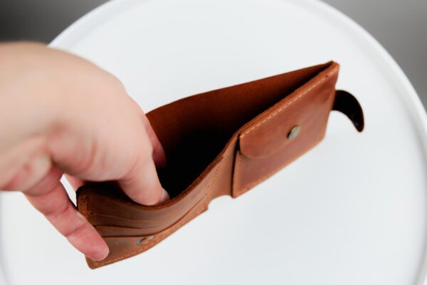 Кошелек мужской Skill Crazy Horse коричневый