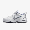 Кросівки чоловічі Nike Air Monarch White/Navy