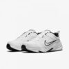Кроссовки мужские Nike Defyallday 4E White/Black