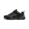 Кроссовки мужские Nike Air Monarch 4E Black
