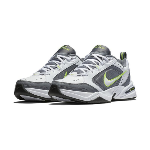 Кросівки чоловічі Nike Air Monarch Grey