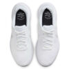 Кросівки чоловічі Nike Revolution 7 White