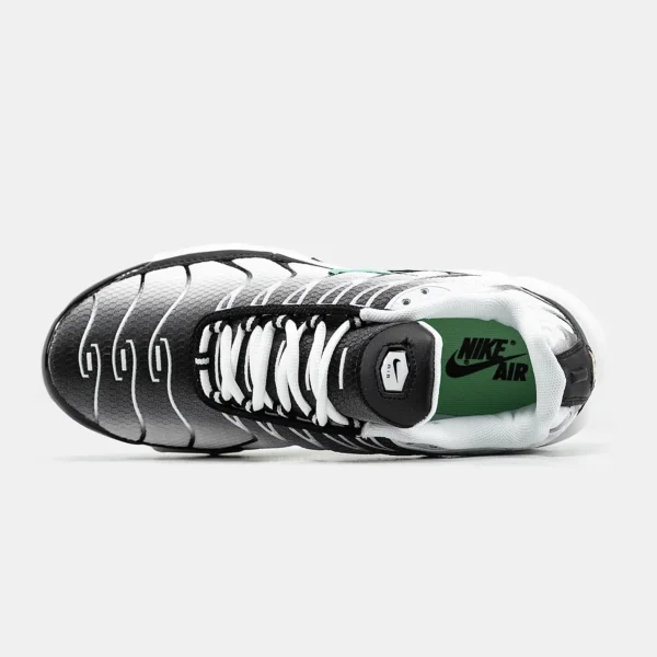 Кроссовки Nike Air Max Plus TN Silver/Fresh Mint