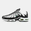 Кроссовки Nike Air Max Plus TN Silver/Fresh Mint