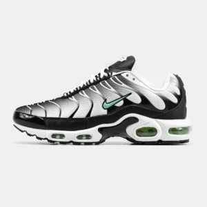 ÐÑÐ¾ÑÑÐ¾Ð²ÐºÐ¸ Nike Air Max Plus TN Silver/Fresh Mint