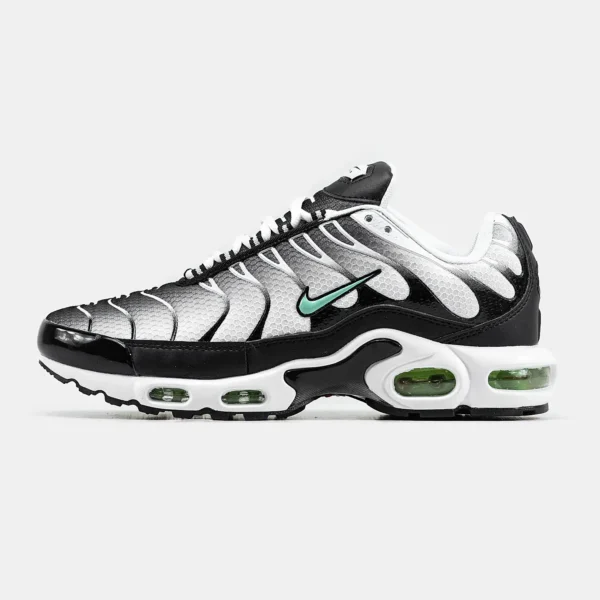 Кроссовки Nike Air Max Plus TN Silver/Fresh Mint