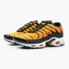 Кроссовки Nike Air Max Plus TN Sunset