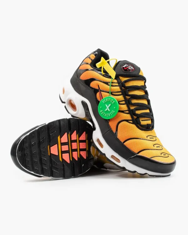 Кроссовки Nike Air Max Plus TN Sunset