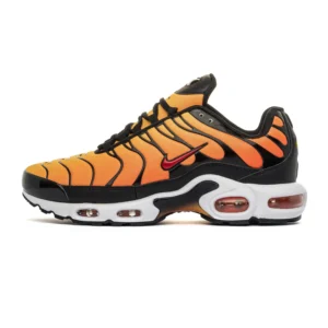 ÐÑÐ¾ÑÑÐ¾Ð²ÐºÐ¸ Nike Air Max Plus TN Sunset