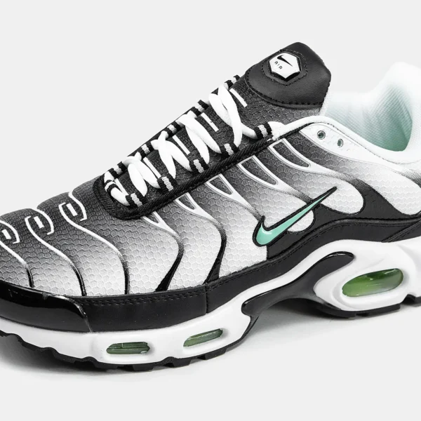 Кроссовки Nike Air Max Plus TN Silver/Fresh Mint