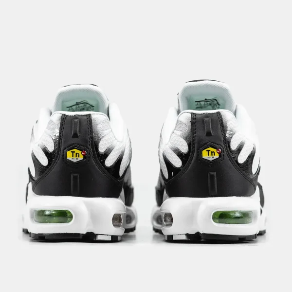 Кроссовки Nike Air Max Plus TN Silver/Fresh Mint