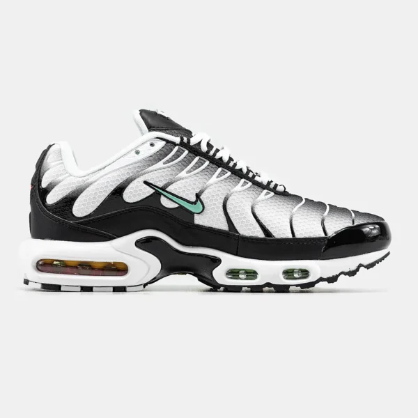 Кроссовки Nike Air Max Plus TN Silver/Fresh Mint