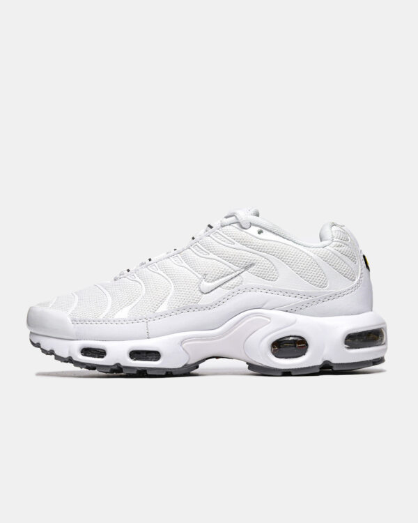 Кроссовки Nike Air Max Plus TN White