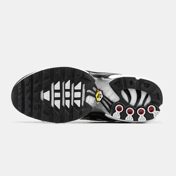 Кроссовки Nike Air Max Plus TN Silver/Fresh Mint