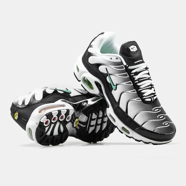 Кроссовки Nike Air Max Plus TN Silver/Fresh Mint