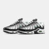 Кроссовки Nike Air Max Plus TN Silver/Fresh Mint
