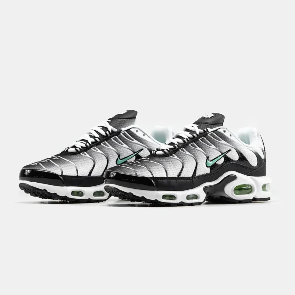 Кроссовки Nike Air Max Plus TN Silver/Fresh Mint