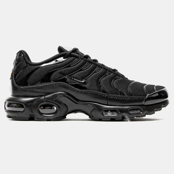 Кроссовки Nike Air Max Plus TN Triple Black