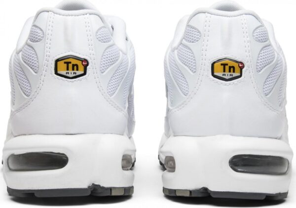 Кроссовки Nike Air Max Plus TN White
