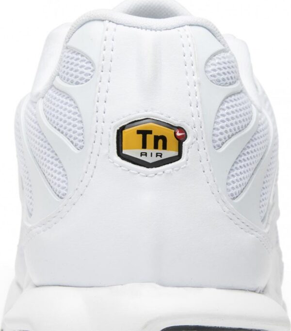 Кроссовки Nike Air Max Plus TN White