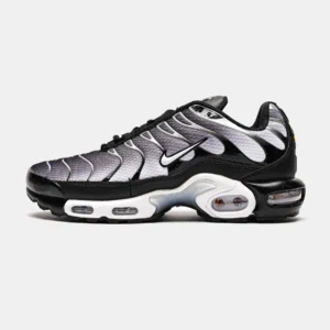 ÐÑÐ¾ÑÑÐ¾Ð²ÐºÐ¸ Nike Air Max TN Black Silver
