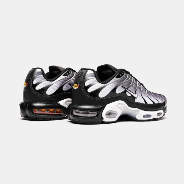 Кроссовки Nike Air Max TN Black Silver