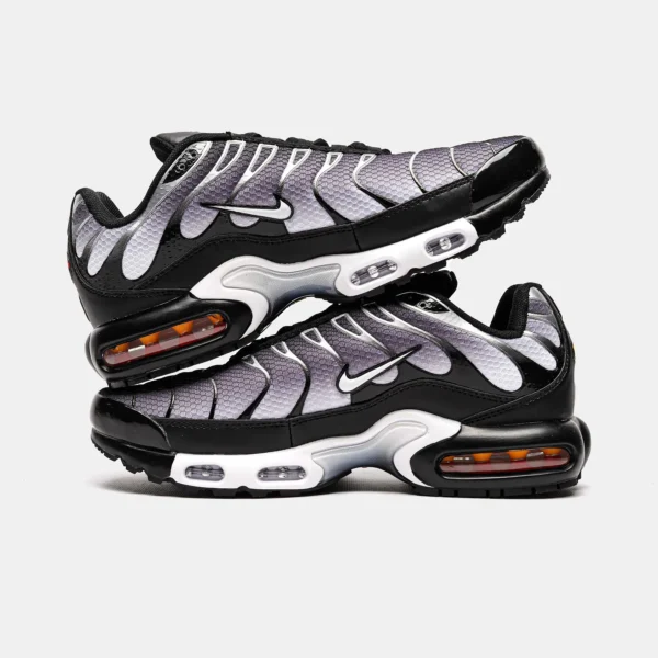 Кроссовки Nike Air Max TN Black Silver
