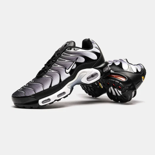 Кроссовки Nike Air Max TN Black Silver