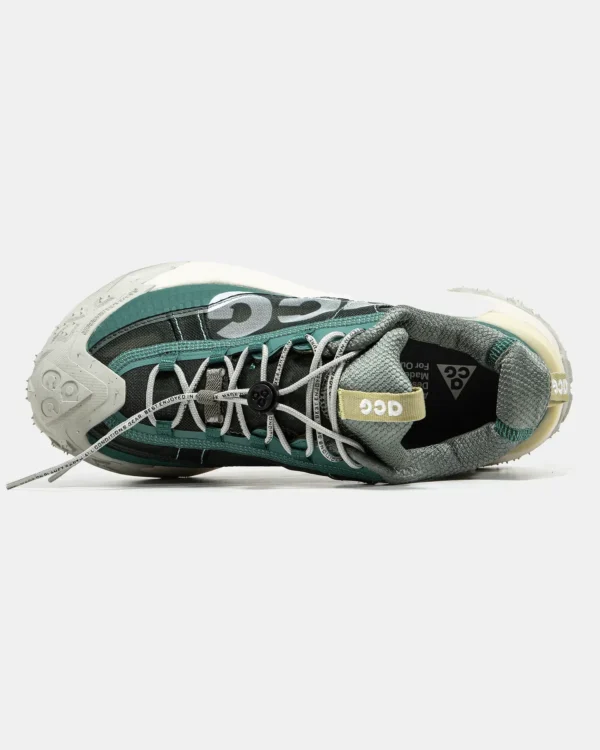 Кроссовки Nike ACG Mountain Fly Low 2 Bicoastal