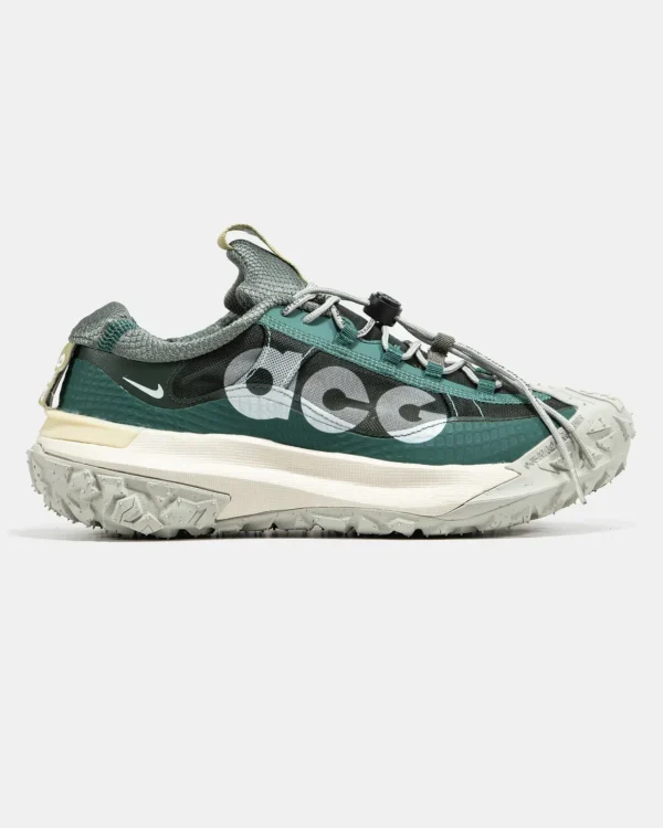 Кроссовки Nike ACG Mountain Fly Low 2 Bicoastal