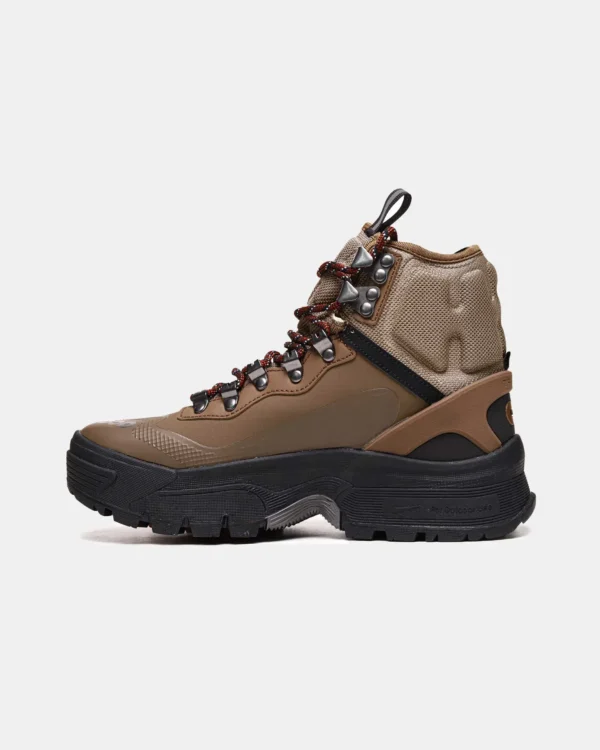 Ботинки Nike Acg Air Zoom Gaiadome Gore Tex Brown