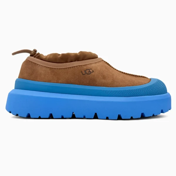 Черевики UGG Tasman Hybrid Chestnut Blue